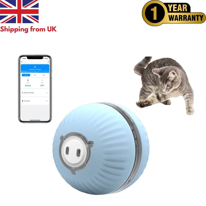 Cat ball with KITPLUS app, - Well - Being