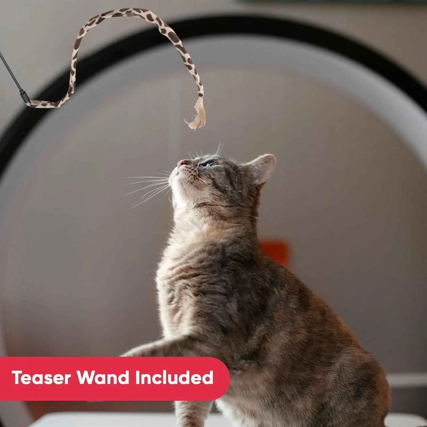 Cat Toys Wholesale Ball - Well - Being