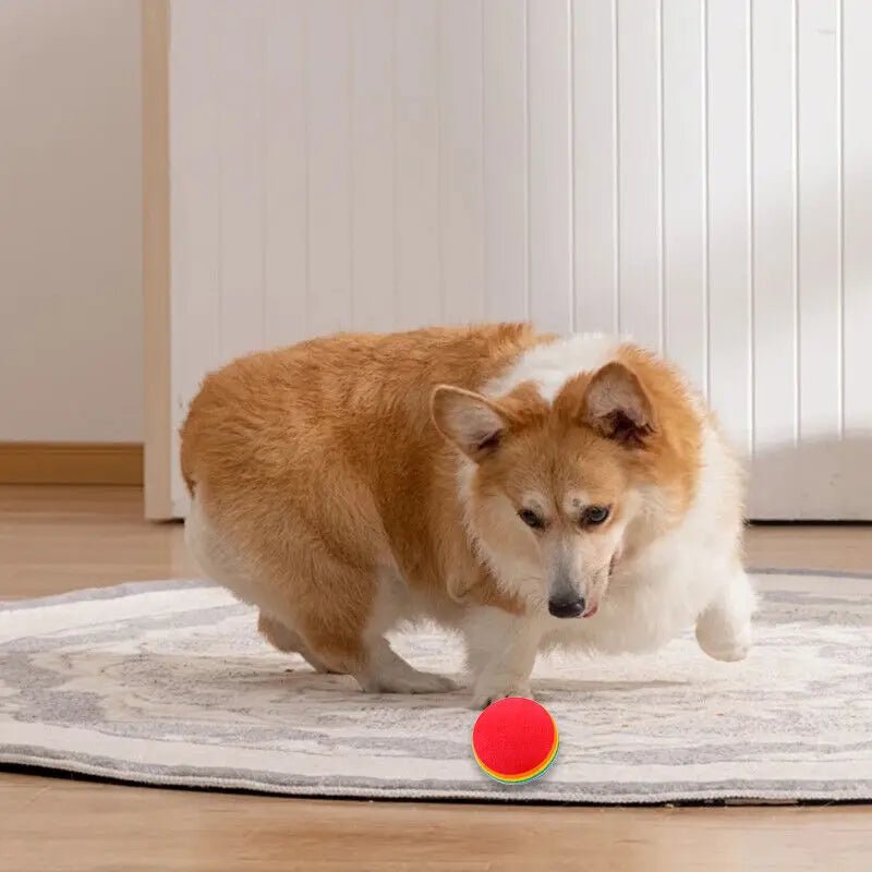 Cat Toys Wholesale Ball - Well - Being