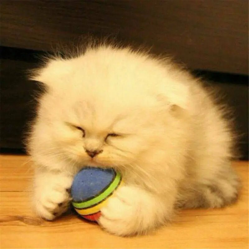 Cat Toys Wholesale Ball - Well - Being
